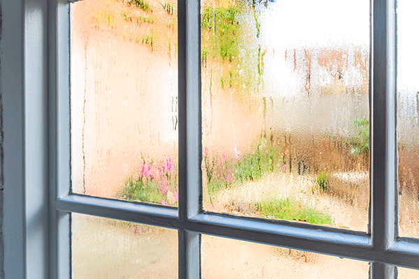 Double-glazed windows can help to reduce condensation